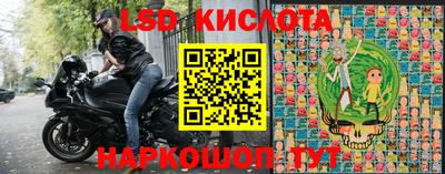 PSILOCYBIN Новозыбков