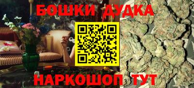 индика Новокубанск